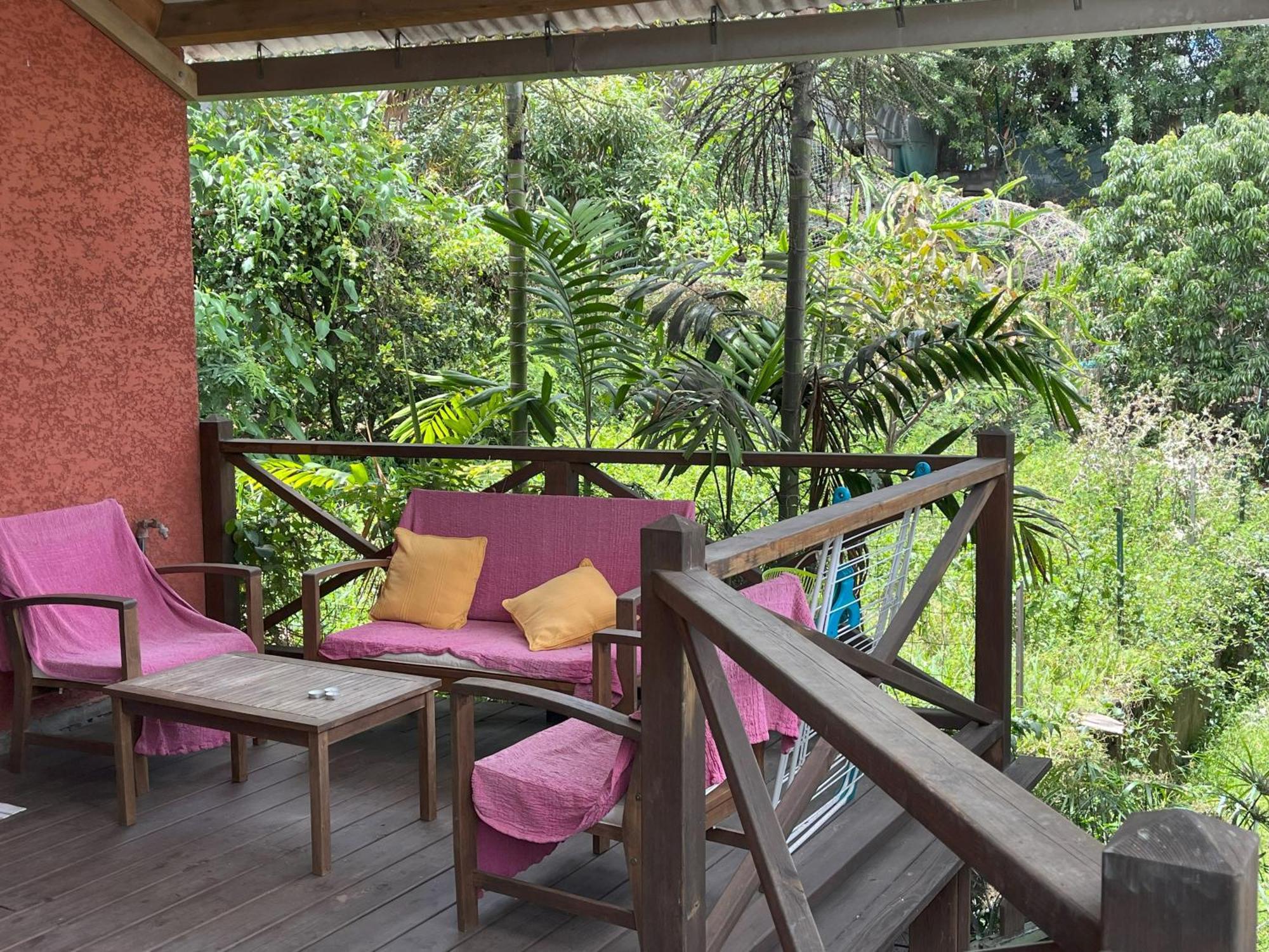 La Bananeraie Apt 35M2 Piscine Jardin Tropical Parking Prive Saint-Leu Ngoại thất bức ảnh