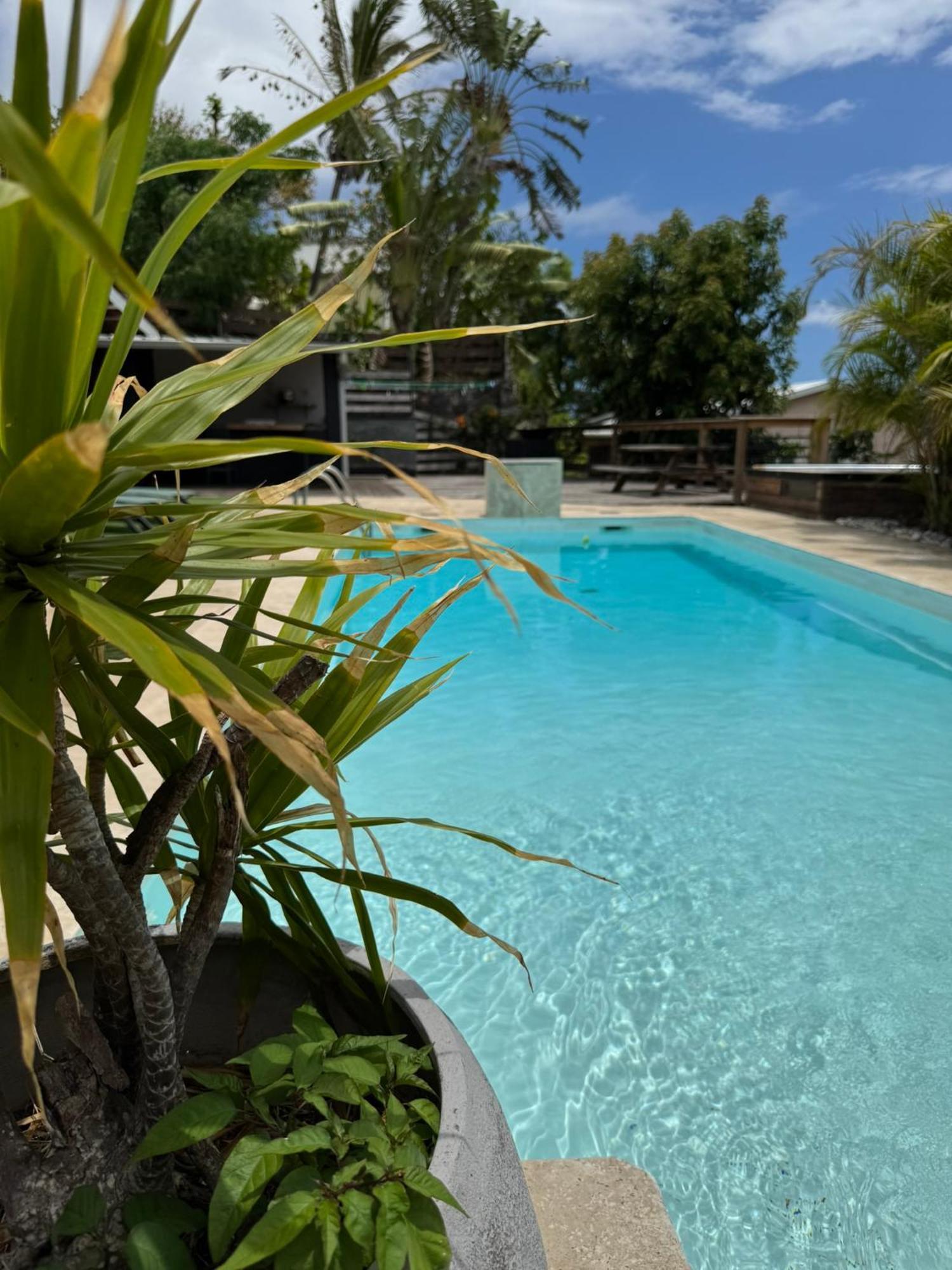 La Bananeraie Apt 35M2 Piscine Jardin Tropical Parking Prive Saint-Leu Ngoại thất bức ảnh